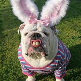 ridiculous easter bunny 10