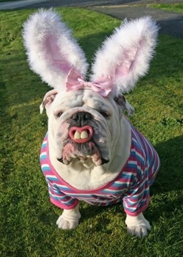 ridiculous easter bunny 10