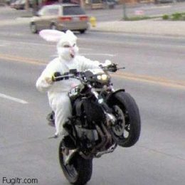 ridiculous easter bunny 16