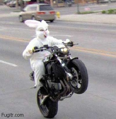 ridiculous easter bunny 16
