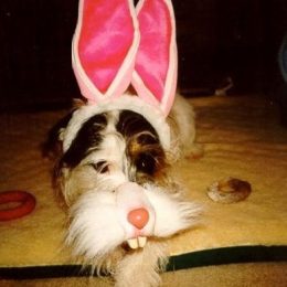 ridiculous easter bunny 18