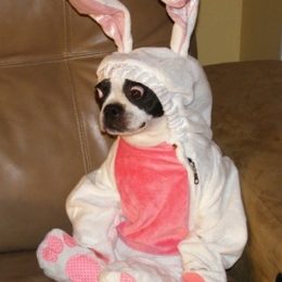 ridiculous easter bunny 25