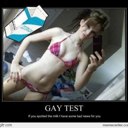 gay test collection 13