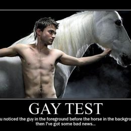 gay test collection 14