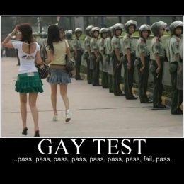gay test collection 15