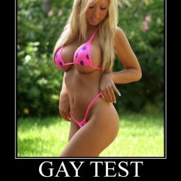 gay test collection 16