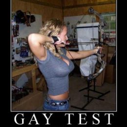 gay test collection 19