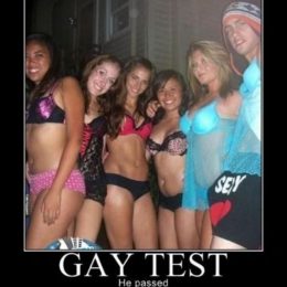 gay test collection 22