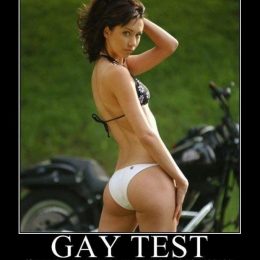 gay test collection 23