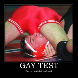 gay test collection 4
