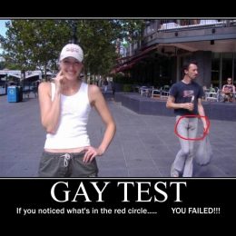 gay test collection 6