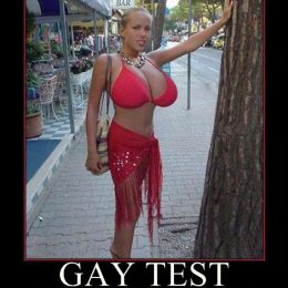 gay test collection 7