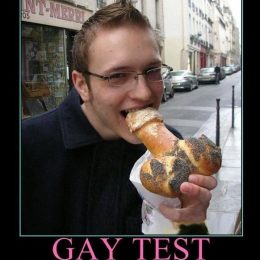 gay test collection 8