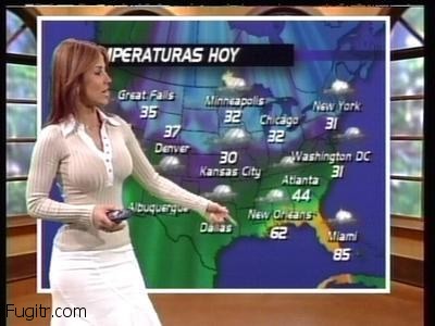 Weather Tits 36
