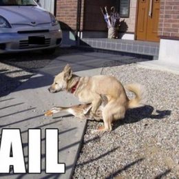 dog fails 13