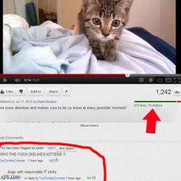 hilarious youtube comments 12