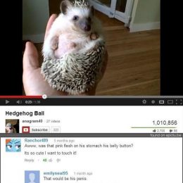 hilarious youtube comments 21