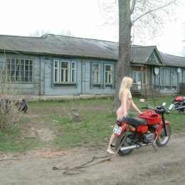 polish blonde jawa bike 10
